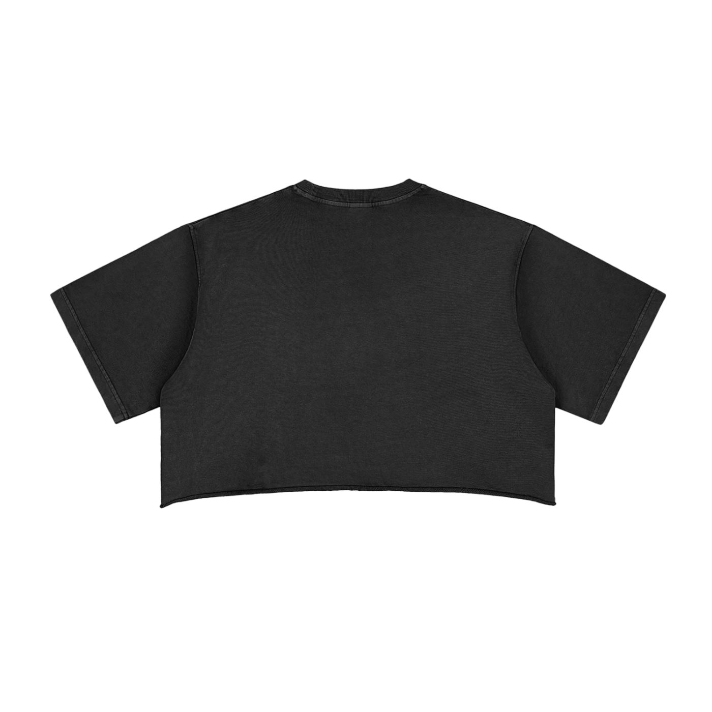 Womens IronScript Crop Top — back view